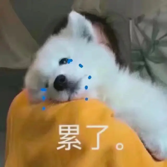 百度文库破解版怎么使用_百度文库付费文档破解_百度文库付费文档破解版