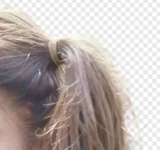 百度文库付费文档破解_百度文库付费文档破解版_百度文库破解版怎么使用