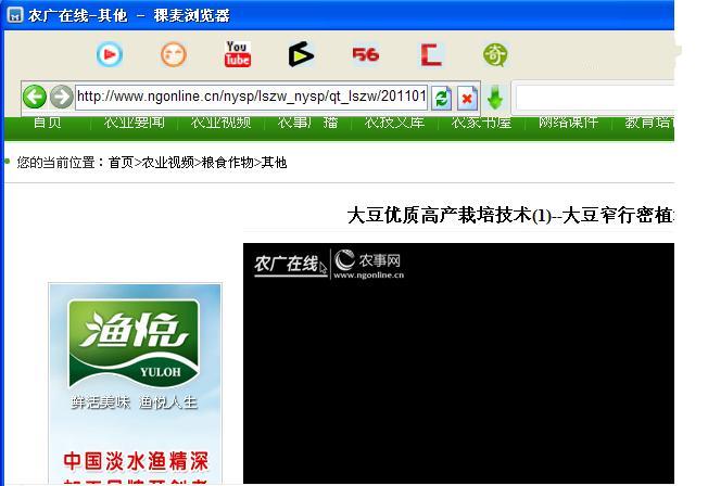 稞麦下载器 xmlbar 视频下载工具_稞麦 xmlbar 优酷视频下载_稞麦综合视频站下载器49