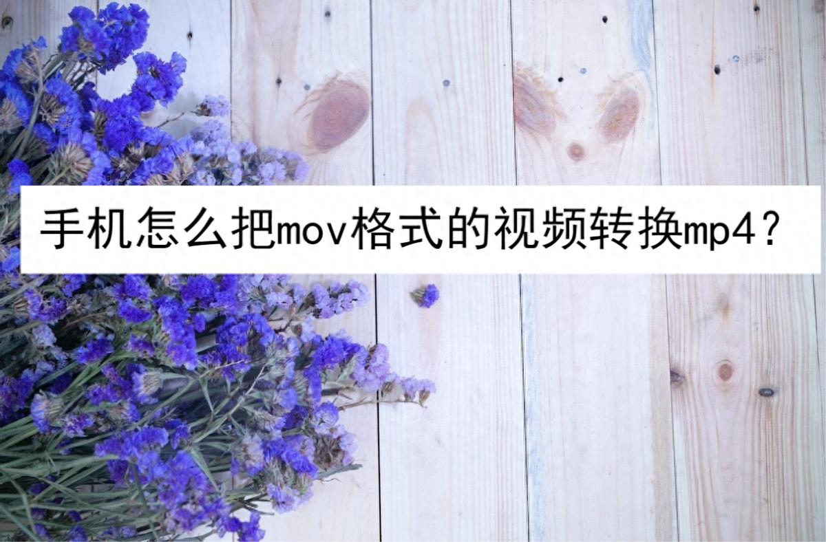 手机mov格式视频转mp4？这些安卓应用轻松搞定