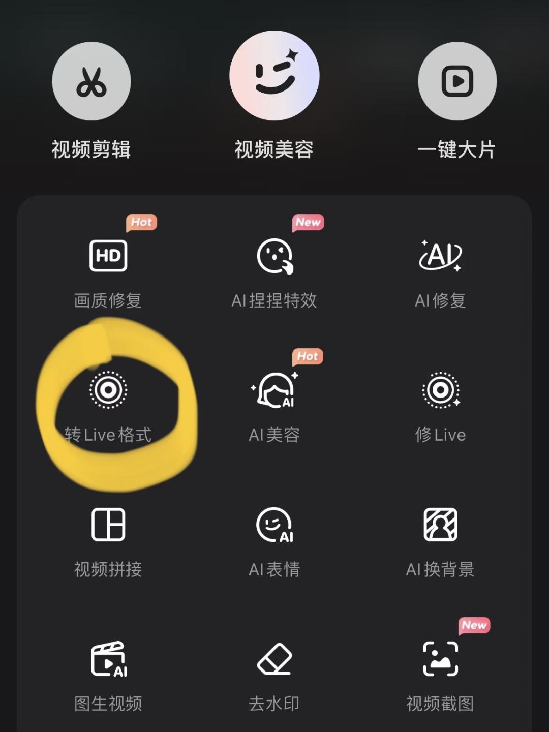 视频格式转换器安卓版_视频转livp工具_迅捷图片转换器livp格式