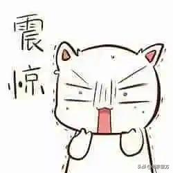 夏季行动丨师宗警方立案侦查一起电子游戏机赌博案