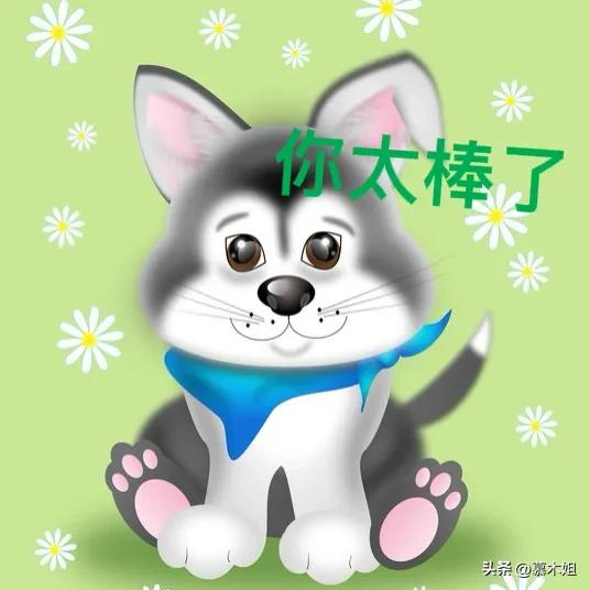 头条平台修改作品入口_修改方法步骤_今日头条上传视频格式