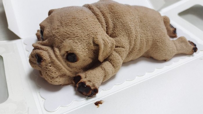 狗不能吃什么_巧克力对狗狗的危害_狗狗不能吃的食物列表