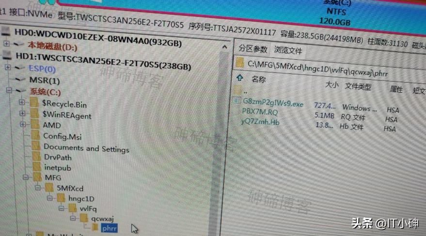 2026电脑杀毒软件_ytelegram.com官网病毒下载_下载ytelegram.com病毒